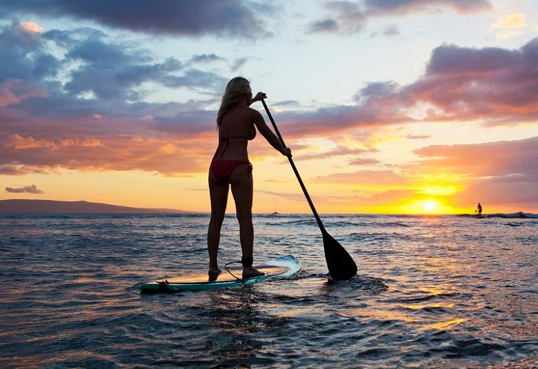 Paddle Boards